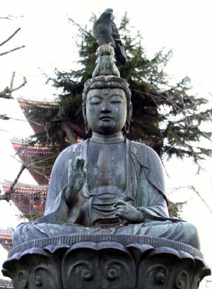 01-buddha-vs-pigeon.jpg