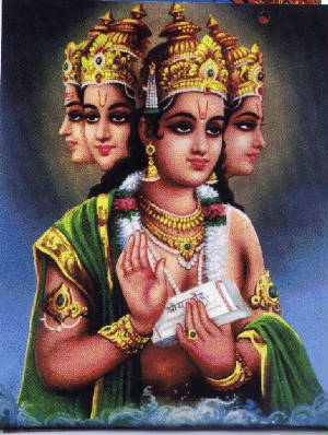 brahma.jpg
